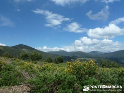 Senderismo Sierra de Guadarrama - Mujer Muerta; senderismo por libre; power walking madrid